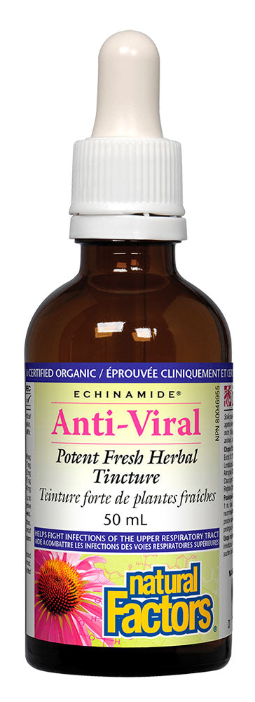 Echinamide - Anti-Viral Tincture (50 ml)