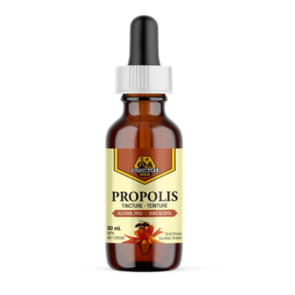 DUTCHMAN'S GOLD Propolis Tincture - Alcohol Free 50 ml