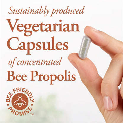 DUTCHMAN'S GOLD Bee Propolis 500 mg 90 caps