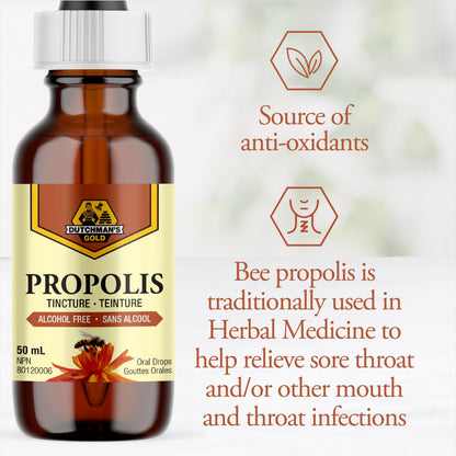 DUTCHMAN'S GOLD Propolis Tincture - Alcohol Free 50 ml