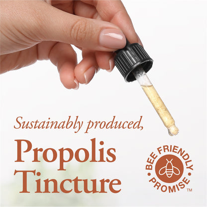 DUTCHMAN'S GOLD Propolis Tincture - Alcohol Free 50 ml