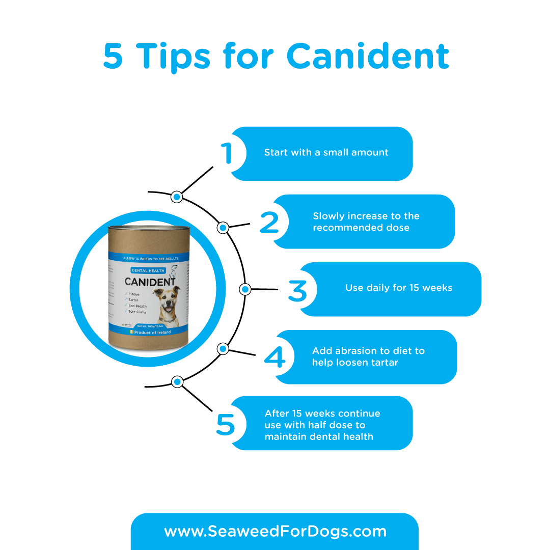 Canident - Clean Dogs Teeth (300 g)