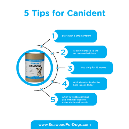 Canident - Clean Dogs Teeth (300 g)