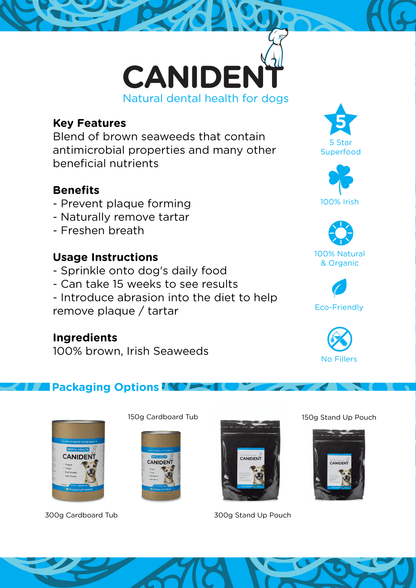 Canident - Clean Dogs Teeth (150 gr)